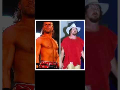 Terry Funk or Shawn Michaels? #shorts #terryfunk #shawnmichaels #hbk #wwe #youtubeshorts #fypシ゚ #fy