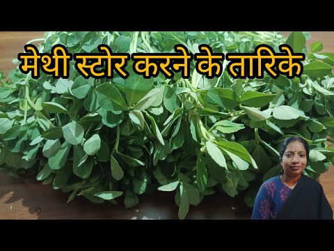 मेथी को स्टोर करने की विधि |  how to store methi for years | garmiyo main methi ka luft uthaye