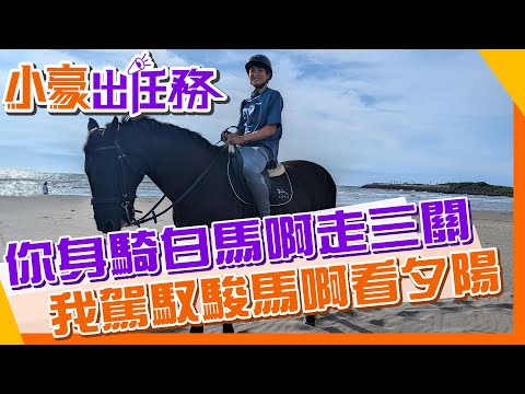 【#小豪出任務】奧運馬術比賽你也可以當一日選手! 初階浪漫馬術體驗海灘看夕陽@來去CHECKIN