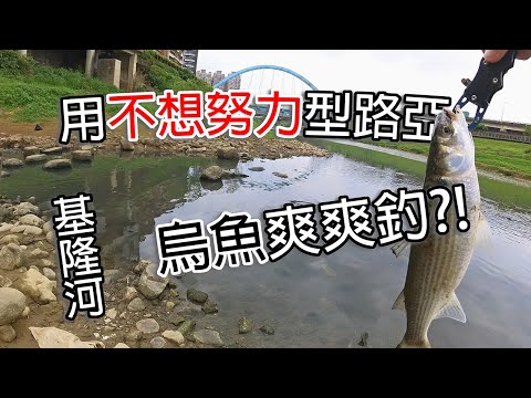 用不想努力型的路亞釣法，能在基隆河釣到烏魚嗎? #廖排GiveMe5 #LPGM5 #基隆河 #烏魚 #路亞