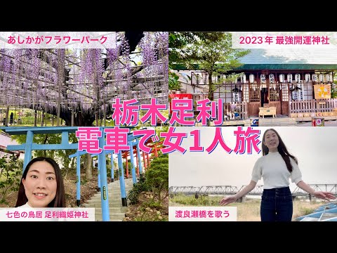 【栃木 足利】電車で女ひとり旅！あしかがフラワーパーク・伊勢神社・足利織姫神社・渡良瀬橋