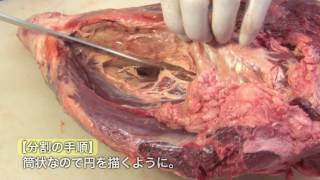 ［熟成肉解体ショー］　ソトモモ編｜門崎熟成肉 格之進