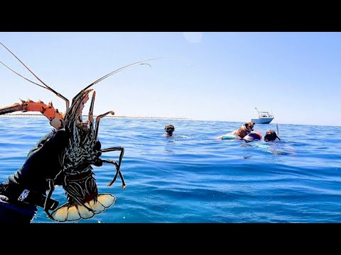 Family Day on the Boat: Catching Crays by Hand and Spearing Trout with the Kids!