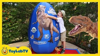 Giant Mystery Egg! T-Rex Dinosaur Surprise | T Rex Ranch | Kids Show | Weird Cartoons for Kids 🤪