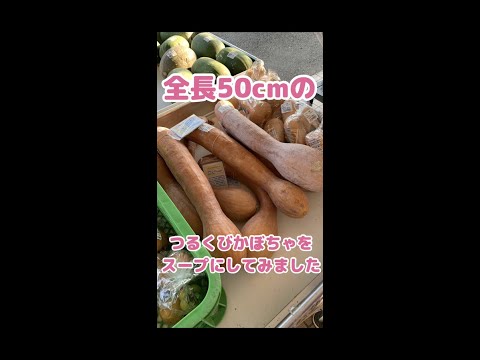 長さ50cmのつるくびかぼちゃを使った濃厚なスープの作り方