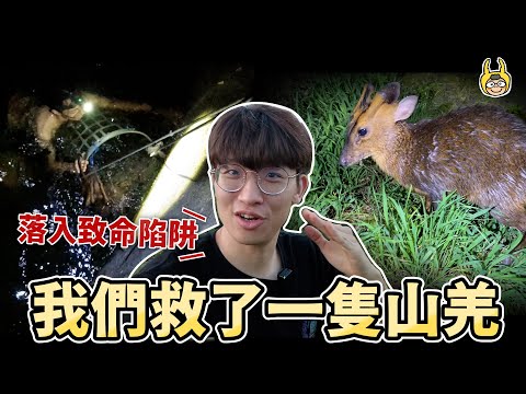 我中了山羌！突發救援任務！點燈遇見夢想的台灣深山鍬形蟲！【叢林大冒險】