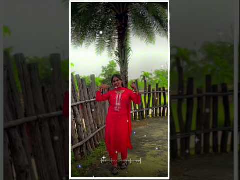 Pagali Diwani Banay Re 🥰💫 #cgsong #cgnewsong #cgshorts #chhattisgarhi