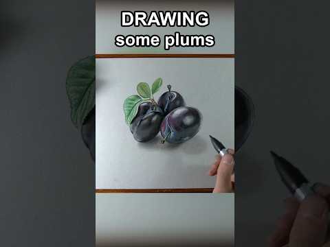 Drawing plums #art #illustration