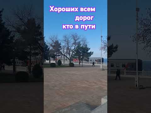 #поезд #поездка #дороги #shortsvideo