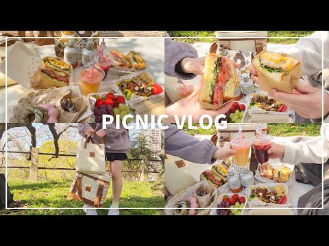 【Cherry blossoms】Hanami date under the cherry blossoms 🌸Home-made lunch box for a stylish picnic💞.