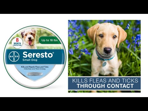 Seresto Flea and Tick Collar for Small Dogs