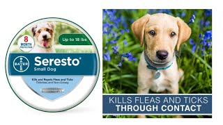 Seresto Flea and Tick Collar for Small Dogs