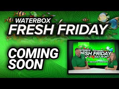 Fresh Friday Is Coming.  A Day Dedicated To Giveaways, Sales, and Education.