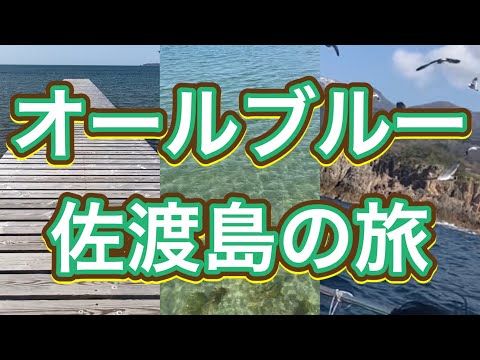 【114回】【佐渡島の旅〜後編】けえ【島育ち】に影響された息子と行く佐渡島の旅【後編】‼️#佐渡金山#尖閣湾#トキ#佐渡島#家族旅行 #けえ#けえ島育ち