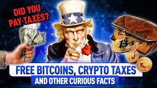 Curious Crypto Facts: How to Find $4.2M, Biggest Crypto Transfer, Uncle Sam’s Cut