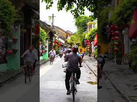 Pedaling through the charm of Hoi An, Viet Nam🏮✨ #vietnamtravel #hoian #biking