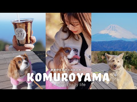 🐶👩🏻‍🦰小室山ってどんなところ？伊豆屈指の絶景スポットを愛犬とレポート♩#絶景カフェ #360度パノラマ景色