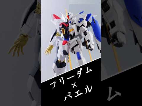 バエルとマイティーストライクフリーダムがエンゲージ！　#gundam #gunpla #ガンダム #プラモデル #ガンダムseed #ガンダムseedfreedom