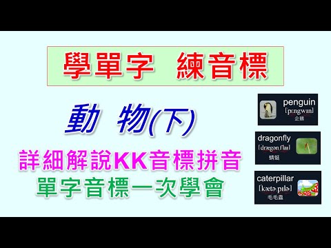 KK音標拼音詳細教學，用生活中常見的多音節單字，一步一步扎實學好KK音標也學會單字。動物英文單字-下。