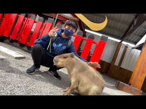 2021/12/4｜宜蘭三星｜張美阿嬤農場｜搖搖洛克馬公園｜青蔥文化館｜天送埤車站｜亞典蛋糕｜山寨村｜湯圍溝溫泉公園｜礁溪溫泉廣場