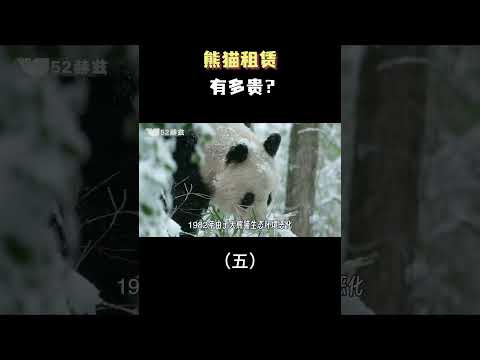 中国熊猫租赁有多贵？（五）