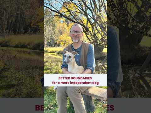 Boundaries teach your dog independence