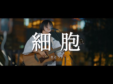 細胞 - さとう。 /  in 新宿路上ライブ