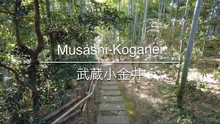 [4K] Musashi-Koganei 武蔵小金井 [Tokyo 東京] [Walk 散歩] #130