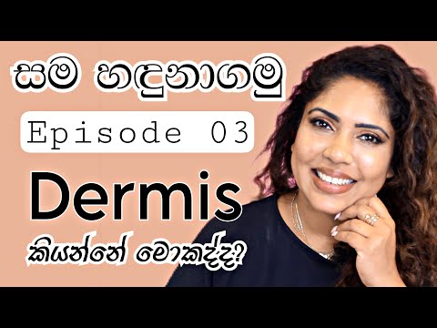 ALL ABOUT DERMIS | YouTube Beauty & Hair Course | FREE | SINHALA