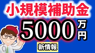 新・小規模事業者補助金１５００万円・５０００万円・地域経済循環創造事業交付金・ローカル10,000プロジェクト【中小企業診断士YouTuber マキノヤ先生】第1990回