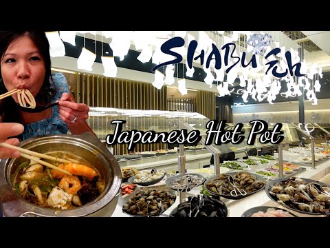 $21.99 Lunch at the Newly Opened Japanese Shabu Buffet at Shabu En AYCE | Houston TX