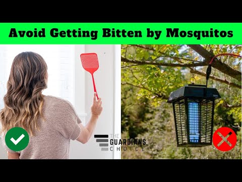 20 Genius Tricks to Avoid Getting Bitten by Mosquitos | The Guardians Choice