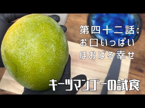 【第四十二話】食べごろや切り方をわかりやすく解説！ 〜 キーツマンゴーの試食 〜