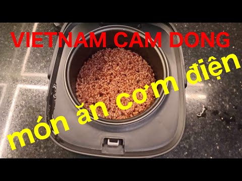 VIETNAM CAM DONG   món ăn nồi cơm điện