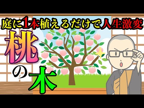 【庭木風水】庭木に迷ったらコレ1本植えるだけで人生ガラリと変わります！