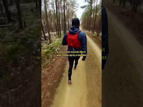 A Dreary Winter Run in Germany