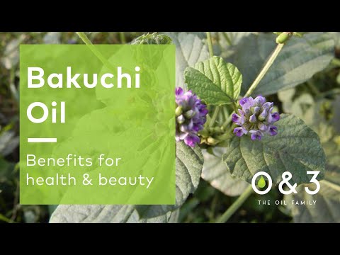 Bakuchi Oil - benefits for skin, hair and personal care formulations