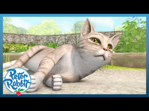 @OfficialPeterRabbit - 🐱🐰 Peter Rabbit Escapes! 🐰🐱 | Cartoons for Kids