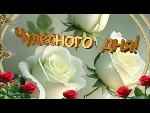 Пусть всё вокруг радует тебя! ДОБРОЕ УТРО ☀️ ХОРОШЕГО ДНЯ 🍰☕ Музыкальный приветик ❤