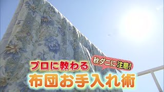 秋ダニに注意！プロに教わる布団お手入れ術【どさんこワイド179】2021.09.15放送