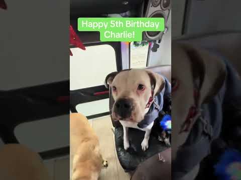 Happy birthday Charlie!