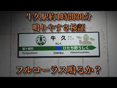 【フルコーラス鳴るか？】牛久駅で約1時間30分鳴りやすさ検証してみた結果　第59弾