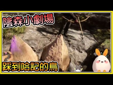 【繁星】陰森小劇場🐦你踩到我的鳥了🐦 sons of the forest【精華】