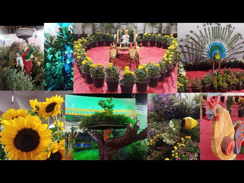 Ranjai 2023 | रानजाई महोत्सव | Largest Gardening Expo in PCMC | VlogGoals