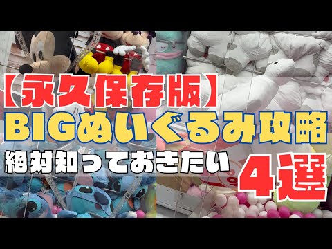 【永久保存版】絶対知っておきたい！クレゲBIGぬいぐるみ攻略4選！