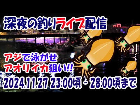 【アオリイカ】小田原方面 漁港内 アジの泳がせ ウキ釣り ライブ配信（20241127）