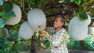 冬瓜大豐收，阿婆和閨蜜花4天學做冬瓜塘，結果翻車了Grandma makes traditional Chinese winter melon candy food｜广西 美食｜ 玉林阿婆