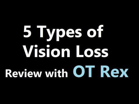 OT Rex - 5 Types of Vision Loss