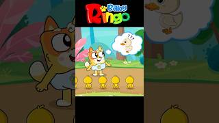 Five Little Ducks | Kids Songs | Baby Ringo Nursery Rhymes & Kids Songs #babyringo #kidssong