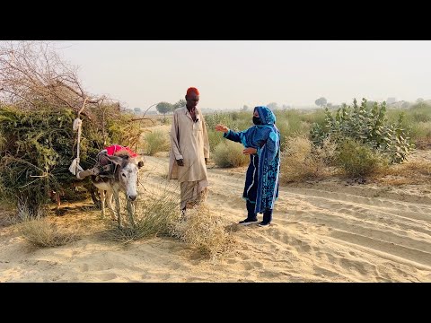 Akhir Kiya Waja ?Apny 9 Bachon ko Bech Kr Ye Gadha Ly Liya ||Aao Madad Karen